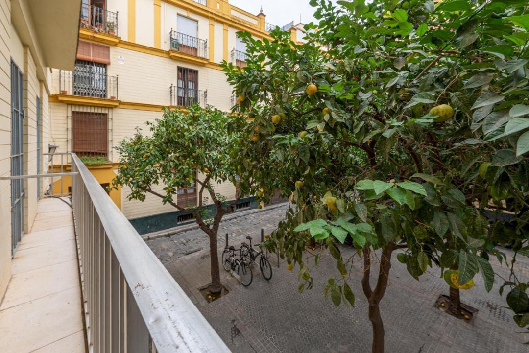 Appartement Wide With Beautiful Kitchen 2bd 3bth -arenal